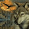 Алмазная мозаика Волк и орел (KM0897, 30x30 см)