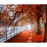 Картина по номерам Осенний парк (KH0937, 40x50 см)