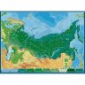 Пазл-карта Животные и Природные Зоны РФ