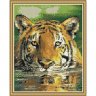 Алмазная мозаика Тигр в воде (CK 1201, 40x50 см)