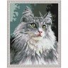 Алмазная мозаика Сибирская кошка (CK 2002, 40x50 см)