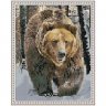 Алмазная мозаика Бурый медведь (CK 2666, 40x50 см)