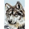 Картина по номерам Серый волк (29.7х21 см)