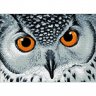 Алмазная мозаика Взгляд совы (38x27 см)