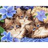 Картина по номерам Котята в цветах (30х40 см)
