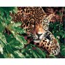 Картина по номерам Леопард в кустах (40х50 см)