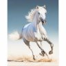 Алмазная мозаика Белая лошадь (40x50 см)