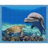 Алмазная мозаика Морские друзья (40x50 см)