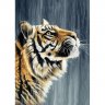 Алмазная мозаика Индийский тигр (27x38 см)