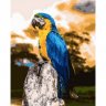 Картина по номерам Попугай ара (GX31221, 40х50 см)