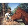 Картина по номерам Девочка и конь (GX22259, 40х50 cм)