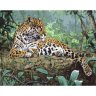 Картина по номерам Леопард (GX30487, 40х50 cм)