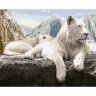 Картина по номерам на дереве Белый лев (40x50 см)