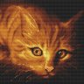 Алмазная мозаика Рыжий кот (30x30 см)