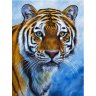 Картина по номерам Глаза тигра (20х30 см)