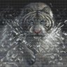 Алмазная мозаика Тигр (KM0215, 30х30 см)