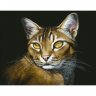 Алмазная мозаика Абиссинская кошка (45х35 см)