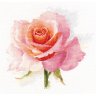 Набор для вышивки крестиком Дыхание розы Нежность (24х24 см)