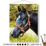 Картина по номерам Черный конь (30x40 см)