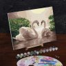 Картина по номерам Лебеди на тихом пруду (30x40 см)